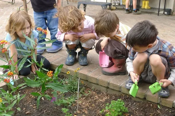 hobbies summer activities custom pool pros