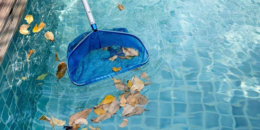 Clean Your Pool and Filter (Remove Debris and Dust)